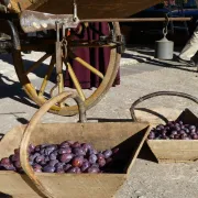 Marché traditionnel