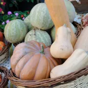 Marché traditionnel