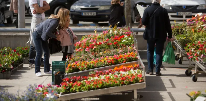 Marché traditionnel