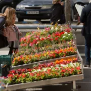 Marché traditionnel