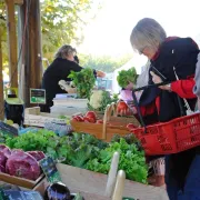 Marché traditionnel