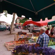 Marché traditionnel