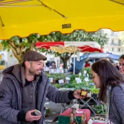 Marché traditionnel, artisanal et local - Fête des Bastides et du Vin