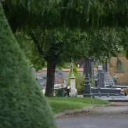 Marchés Aux Fleurs De La Toussaint 2024