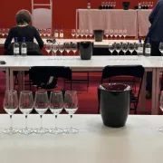 Master class dégustation de vin