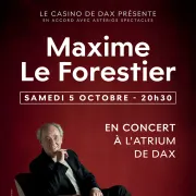 Maxime le Forestier en concert