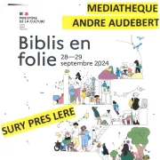 Médiathèque en folie