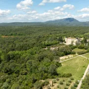 Médiation Exposition : Les Arbres S’émerveillent