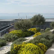 Mucem - Visite libre