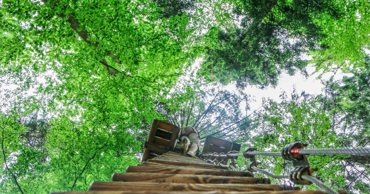 Natura Parc à Ostwald, Alsace : acrobranche et sports en Nature | JDS