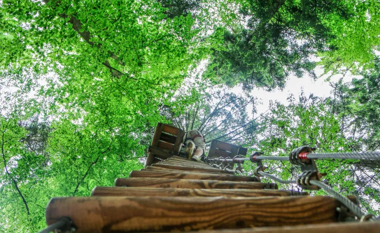 Natura Parc à Ostwald, l'aventure dans les arbres