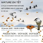 Nature En Têt Migration: Voyage, Voyage!