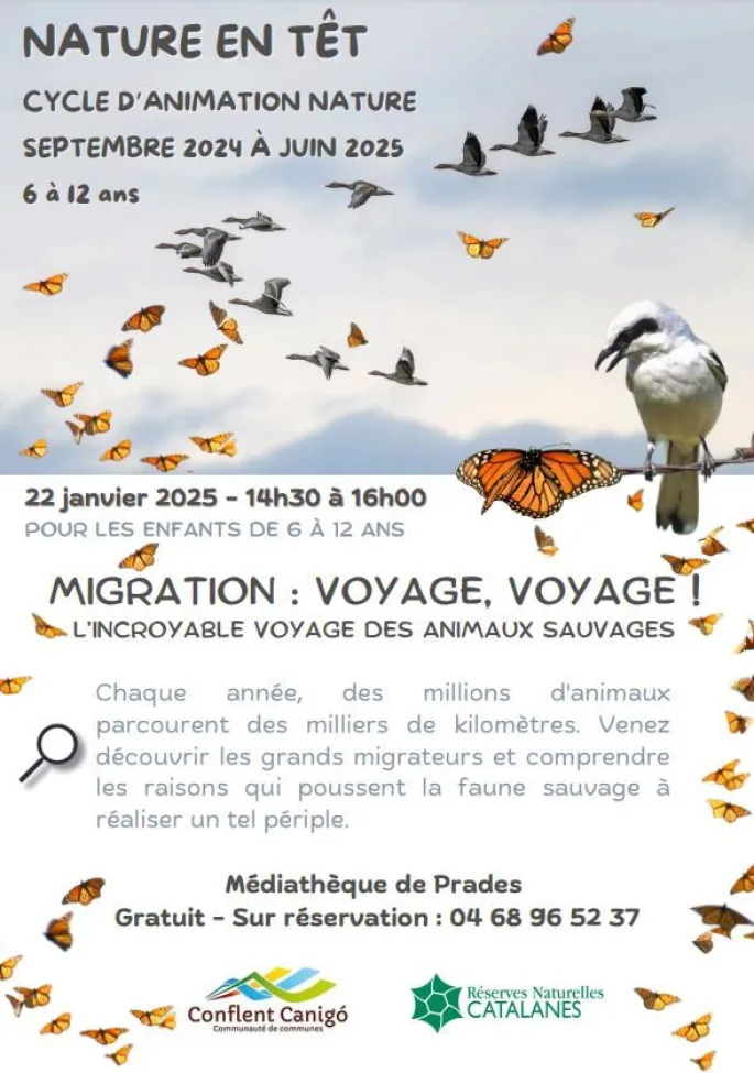 Nature En Têt Migration: Voyage, Voyage!