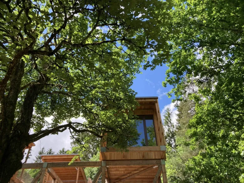 Des cabanes perchées dans les arbres, au coeur des Vosges