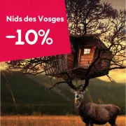 Nids des Vosges pour Noël : 10% de réduction sur les bons cadeaux