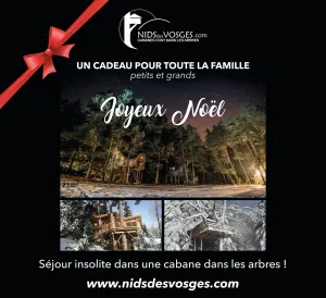 Une idée cadeau originale pour Noël