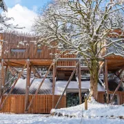 Nids des Vosges : un séjour nature et confort dans la Villa Forêt & spa