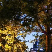 Nocturnes au jardin - Domaine de Chaumont-sur-Loire