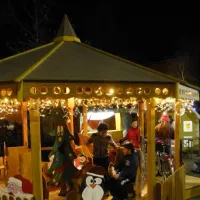 Le manège écologique du marché de Noël de Dannemarie DR