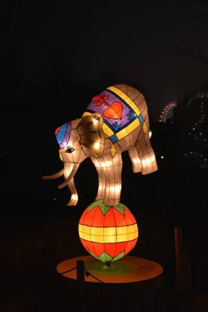 Noël à Metz : Le Sentier des Lanternes