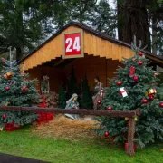 Noël au château de Cheverny