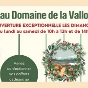 Noël au Domaine de la Vallongue