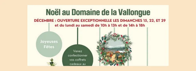 Noël au Domaine de la Vallongue