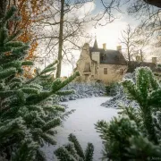 Noël au pays des châteaux - Le noël d\'une reine