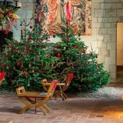 Noël au pays des châteaux : Les contes de Noël