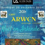 «Noël en Irlande » concert de musique irlandaise par le trio ARWEN