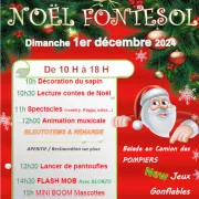 Noël Fontesol