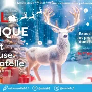 Noël magique : la forêt lumineuse de Bagatelle