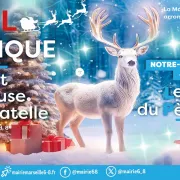 Noël magique - La forêt magique de Bagatelle