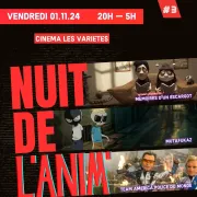 Nuit de l'Anim 3