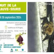 Nuit de la chauve-souris