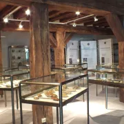 Nuit européenne des Musées : visite guidée du musée municipal d'Histoire et de Préhistoire