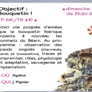 Objectif bouquetin ! - sortie CPIE