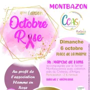 Octobre Rose à Montbazon