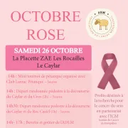 Octobre Rose Au Caylar