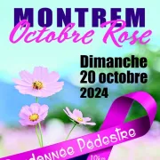 Octobre rose : marche