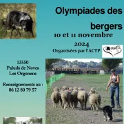 Olympiades des bergers