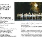 Opéras - Ballets filmé Le Lac des Cygnes au Cinéma Le Plaza