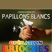 Opération Brioches