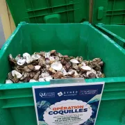 Opération collecte de coquilles en déchèterie