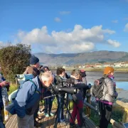 Ornithologie transfrontalière sur la baie de Txingudi