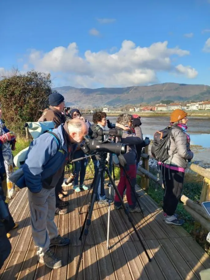 Ornithologie transfrontalière sur la baie de Txingudi