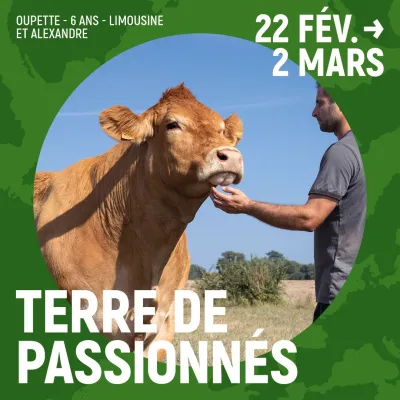 Découvrez Oupette, star Limousine du Salon de l'Agriculture 2025 🐮