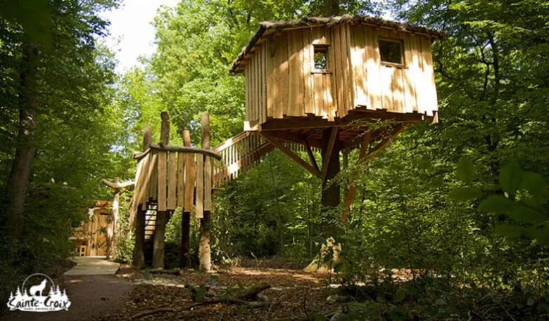 Cabane dans les arbres au Parc animalier de Sainte Croix