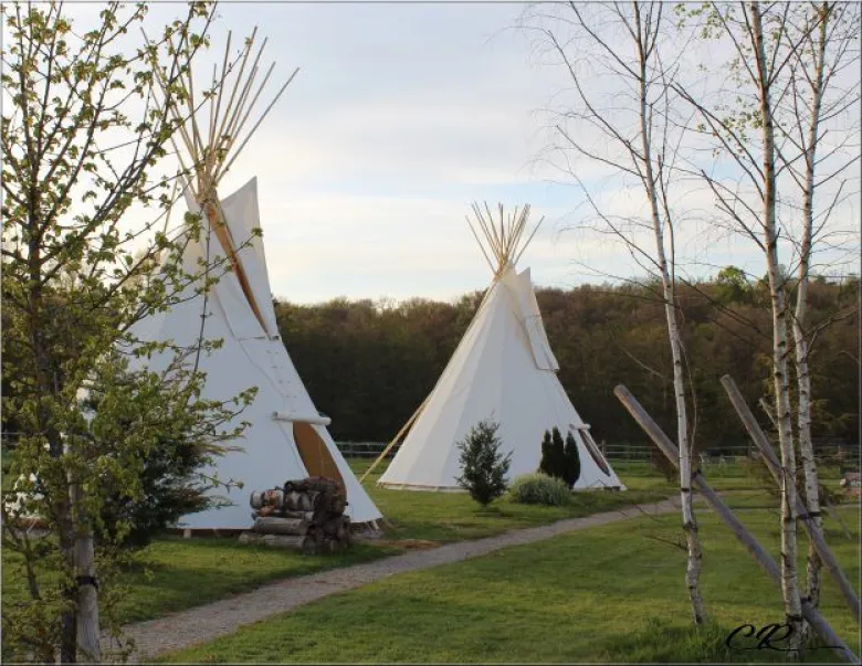 Pour une nuit dans un cadre insolite, testez les tipis du Parc Nature de Cheval !