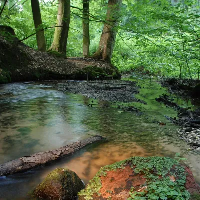 Parc naturel régional des Vosges du Nord